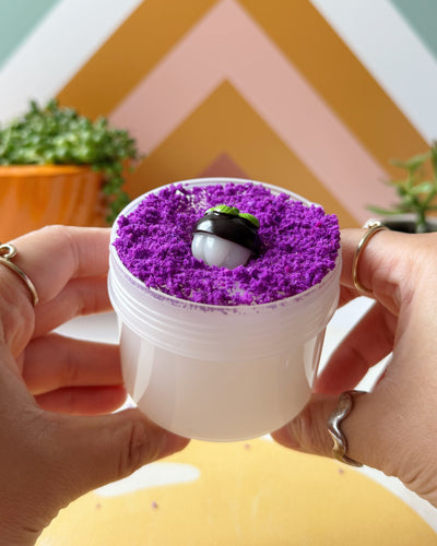 MANGOSTEEN PULP