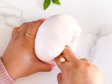 SPRING WAGASHI