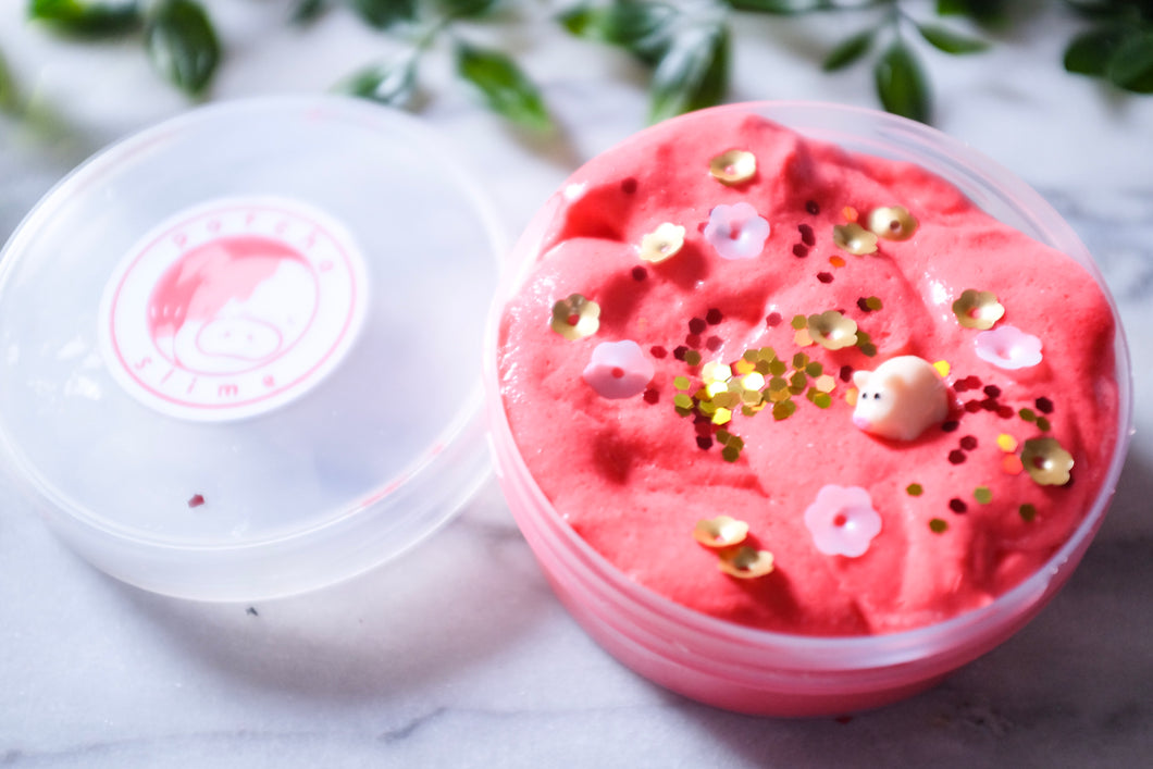 POTCHA SLIME ★